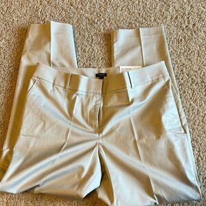 NWT gorgeous Ann Taylor pants